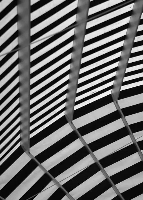 Black and white abstract image showing diagonal stripes intersected by vertical, wavy, metallic-looking bars, creating a dynamic geometric pattern with strong contrast and depth.